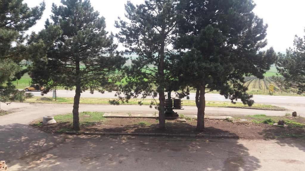 Penzion U Tomcalu Terezín エクステリア 写真