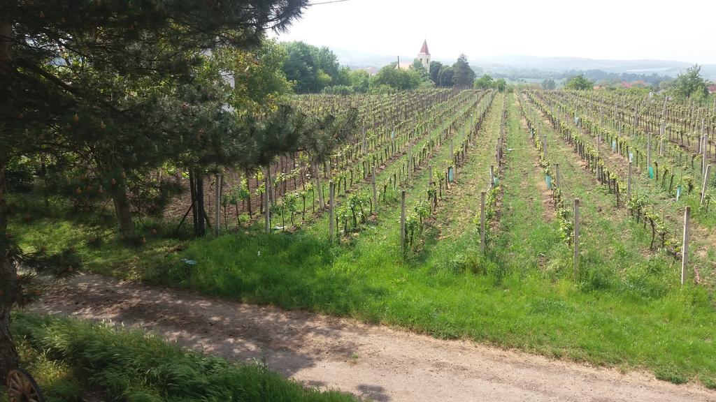 Penzion U Tomcalu Terezín エクステリア 写真